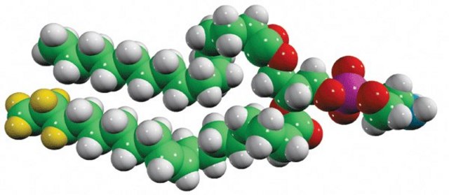 15:0-18:1-d7-PE Avanti Research&#8482; - A Croda Brand