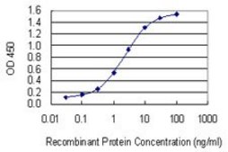 Monoclonal Anti-FBXO2 antibody produced in mouse clone 1G4, purified immunoglobulin, buffered aqueous solution