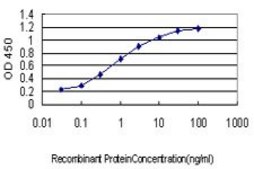 Monoclonal Anti-SALF antibody produced in mouse clone 5F12, purified immunoglobulin, buffered aqueous solution