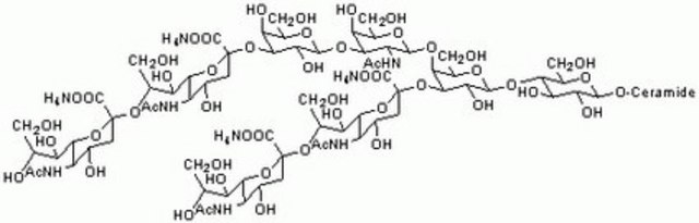 Ganglioside GQ1b, Tetrasialo, Tetraammonium Salt, Bovine Brain Ganglioside GQ1b enhances spontaneous IgG, IgM, and IgA production in human peripheral monocytic cells.