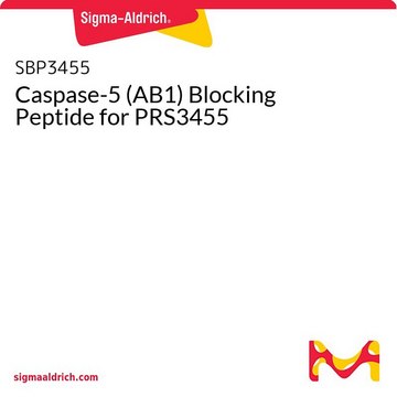 Caspase-5 (AB1) Blocking Peptide for PRS3455