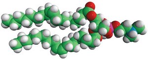 18:1 Dimethyl PE 1,2-dioleoyl-sn-glycero-3-phosphoethanolamine-N,N-dimethyl, chloroform