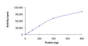 JNK2, active, GST tagged human PRECISIO&#174; Kinase, recombinant, expressed in baculovirus infected Sf9 cells, &#8805;70% (SDS-PAGE), buffered aqueous glycerol solution