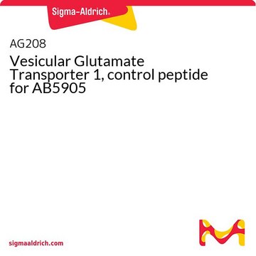 Vesicular Glutamate Transporter 1, control peptide for AB5905