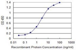 Monoclonal Anti-RNF139, (C-terminal) antibody produced in mouse clone 2D5, purified immunoglobulin, buffered aqueous solution