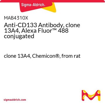 Anti-CD133 Antibody, clone 13A4, Alexa Fluor&#8482; 488 conjugated clone 13A4, Chemicon&#174;, from rat