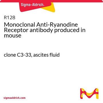 Monoclonal Anti-Ryanodine Receptor antibody produced in mouse clone C3-33, ascites fluid