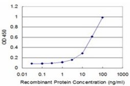 Monoclonal Anti-RPL30 antibody produced in mouse clone 4E6, purified immunoglobulin, buffered aqueous solution