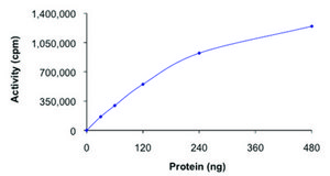 TAOK3 (1-463), active, GST tagged human PRECISIO® Kinase, recombinant, expressed in baculovirus infected Sf9 cells, ≥70% (SDS-PAGE), buffered aqueous glycerol solution