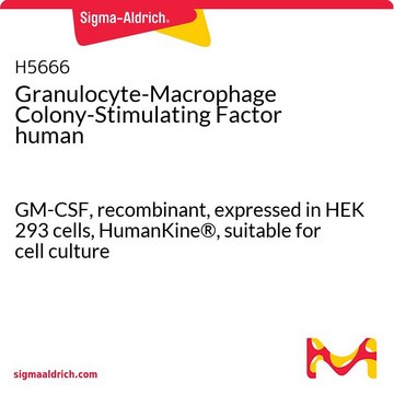 Granulocyte-Macrophage Colony-Stimulating Factor human GM-CSF, recombinant, expressed in HEK 293 cells, HumanKine&#174;, suitable for cell culture