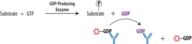 Transcreener&#174; GDP FP Assay