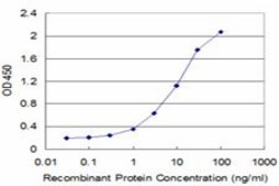 Monoclonal Anti-GTF2A2 antibody produced in mouse clone 2B9, purified immunoglobulin, buffered aqueous solution