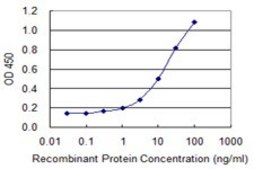 Monoclonal Anti-MT2A antibody produced in mouse clone 6G2, purified immunoglobulin, buffered aqueous solution
