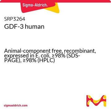 GDF-3 human Animal-component free, recombinant, expressed in E. coli, &#8805;98% (SDS-PAGE), &#8805;98% (HPLC)