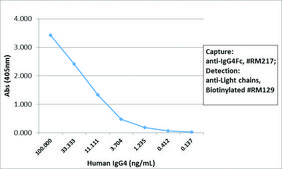 Anti-Human IgG4 fc antibody, Rabbit monoclonal recombinant, expressed in HEK 293 cells, clone RM217, purified immunoglobulin