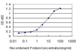 Monoclonal Anti-MSR1 antibody produced in mouse clone 2G8, purified immunoglobulin, buffered aqueous solution