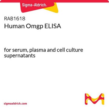 人Omgp ELISA for serum, plasma and cell culture supernatants