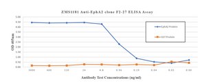 Anti-EphA2 Antibody, clone F2-27 ZooMAb® Mouse Monoclonal recombinant, expressed in HEK 293 cells