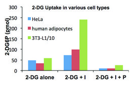 Glucose Uptake Colorimetric Assay Kit sufficient for 100 colorimetric&nbsp;tests