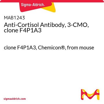 皮质醇抗体，3-CMO，克隆F4P1A3 clone F4P1A3, Chemicon&#174;, from mouse