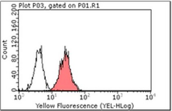 Anti-Nectin-3/PVRL3 (CD113) Antibody, clone N3.12.4 clone N3.12.4, from mouse