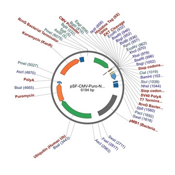 PSF-CMV-PURO-NH2-10HIS-EKT - N-TERMINAL 10HIS TAG MAMMALIAN PLASMID plasmid vector for molecular cloning