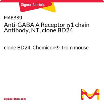 抗GABA A受体&#945;1 链抗体（NT，克隆BD24） clone BD24, Chemicon&#174;, from mouse