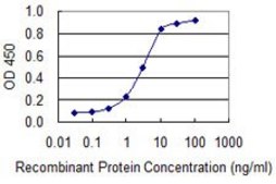 Monoclonal Anti-CEACAM6 antibody produced in mouse clone 1G2, purified immunoglobulin, buffered aqueous solution