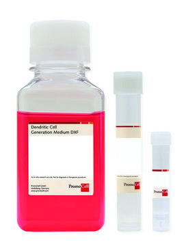 Dendritic Cell Generation Medium DXF Ready-to-use kit including Basal Medium and SupplementMix, 250 ml