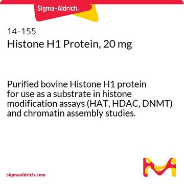 组蛋白H1蛋白，20 mg Purified bovine Histone H1 protein for use as a substrate in histone modification assays (HAT, HDAC, DNMT) and chromatin assembly studies.