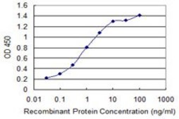 Monoclonal Anti-ACOX2, (C-terminal) antibody produced in mouse clone 1A7, purified immunoglobulin, buffered aqueous solution
