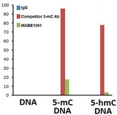 Anti-5-Methylcytosine (5mC) Antibody, clone EDL MC-4 clone EDL MC-4, from mouse