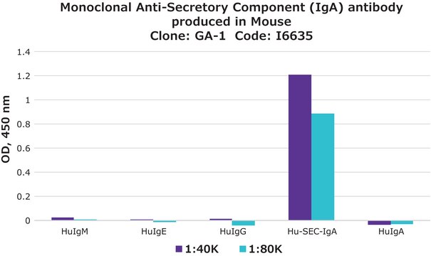 Monoclonal Anti-Secretory Component (IgA) antibody produced in mouse clone GA-1, ascites fluid