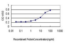 Monoclonal Anti-IGSF6 antibody produced in mouse clone 2A12, purified immunoglobulin, buffered aqueous solution