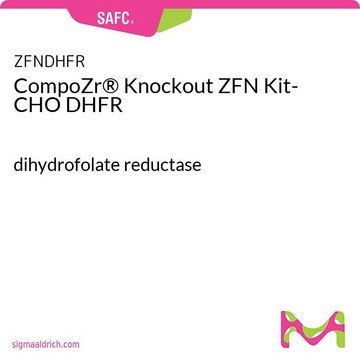 CompoZr&#174; 基因敲除 ZFN 试剂盒- CHO DHFR dihydrofolate reductase