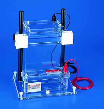 Vertical electrophoresis unit, adjustable height, single gel gel W × H 16.5&#160;cm × 14.5-28&#160;cm, Not CE-approved