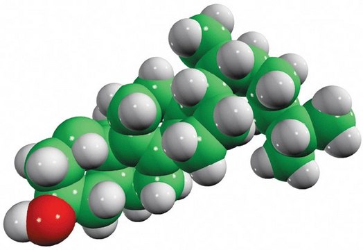 zymostenol powder