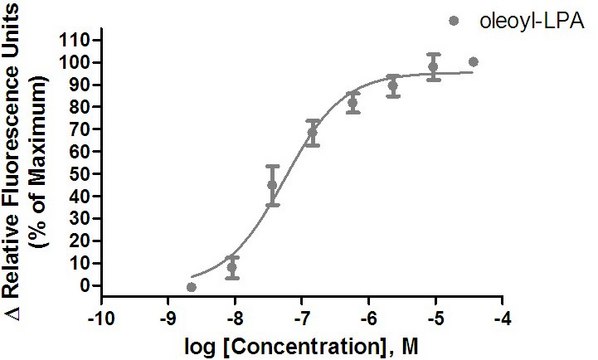 Ready-to-Assay LPA1 Lysophospholipid Receptor Frozen Cells Human LPA1 / EDG2 GPCR frozen cells for Calcium Flux FLIPR Assays.