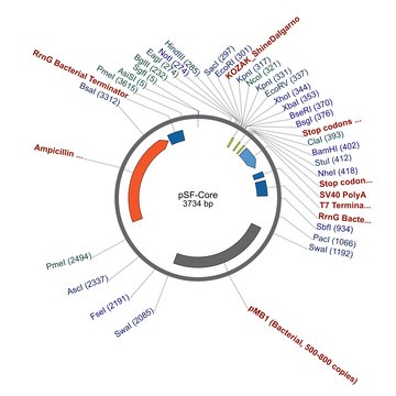 PSF-Core Basic Cloning Vector plasmid vector for molecular cloning