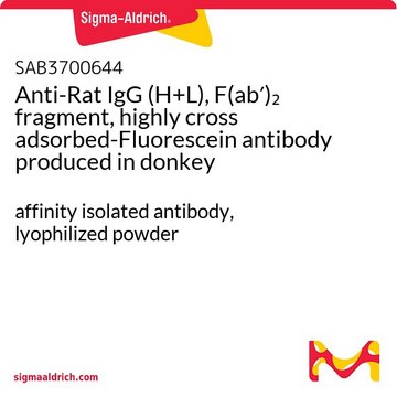 Anti-Rat IgG (H+L), F(ab&#8242;)2 fragment, highly cross adsorbed-Fluorescein antibody produced in donkey affinity isolated antibody, lyophilized powder