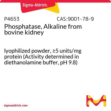 Phosphatase, Alkaline from bovine kidney lyophilized powder, &#8805;5&#160;units/mg protein (Activity determined in diethanolamine buffer, pH&nbsp;9.8)