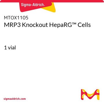 MRP3 Knockout HepaRG&#8482; Cells 1 vial