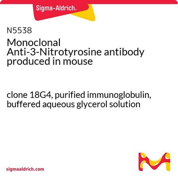 单克隆抗-3-硝基酪氨酸 小鼠抗 clone 18G4, purified immunoglobulin, buffered aqueous glycerol solution