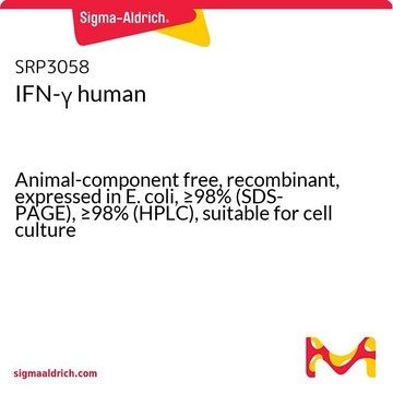 IFN-&#947; 人 Animal-component free, recombinant, expressed in E. coli, &#8805;98% (SDS-PAGE), &#8805;98% (HPLC), suitable for cell culture