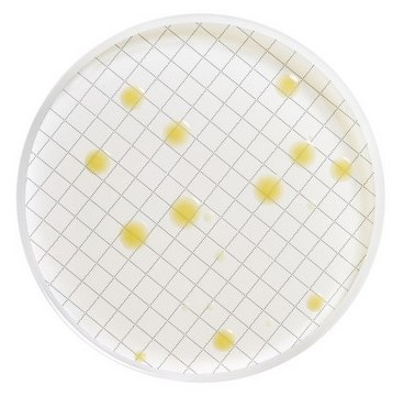 Milliflex&#174; Pre-filled Media Cassettes Plate Count Agar, for aerobic bacteria, pack of 48&#160;tests, suitable for bioburden testing