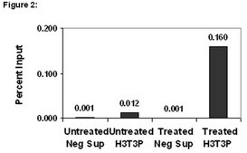 ChIPAb+ Phospho-Histone H3 (Thr3) - ChIP Validated Antibody and Primer Set, rabbit monoclonal culture supernatant, clone JY325, from rabbit