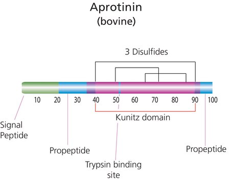 Aprotinin from bovine lung lyophilized powder, 3-8&#160;TIU/mg solid