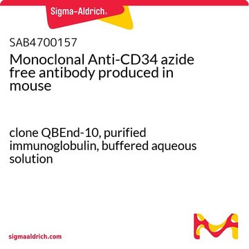 Monoclonal Anti-CD34 azide free antibody produced in mouse clone QBEnd-10, purified immunoglobulin, buffered aqueous solution