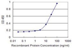Monoclonal Anti-THOC3 antibody produced in mouse clone 3D4, purified immunoglobulin, buffered aqueous solution