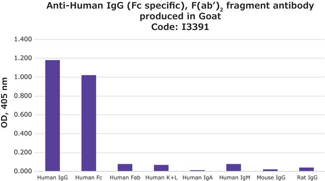 抗 人 IgG（Fc 特异性），F（ab'） 2 片段 山羊抗 affinity isolated antibody, buffered aqueous solution